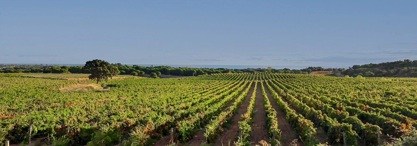 valmy-19 CIVR-Saint.ephotographie copie.webp